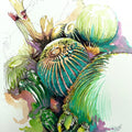 Kaktus / Aquarell
